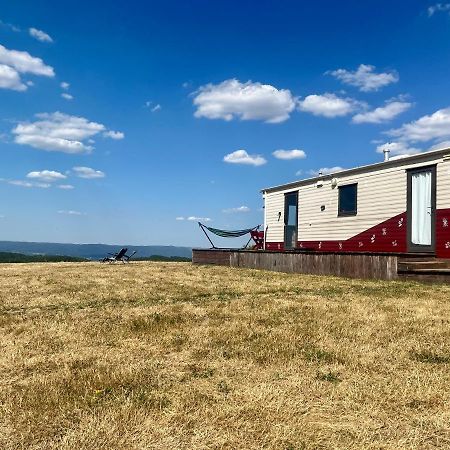 Mountaintop Panoramaview Casa In Bihor Apuseni Vadu Crisului Exterior foto